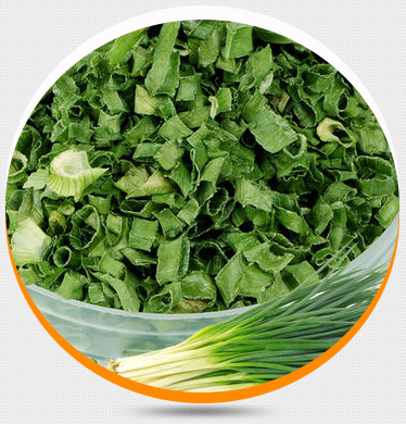 型號(hào)齊全 范圍廣